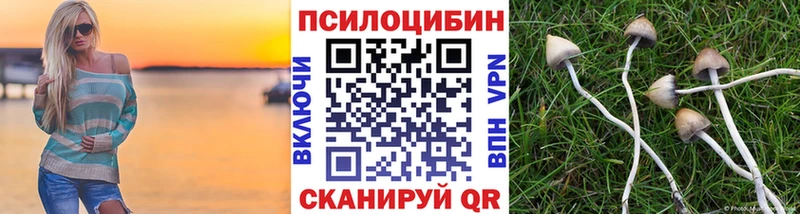 Галлюциногенные грибы прущие грибы Александров
